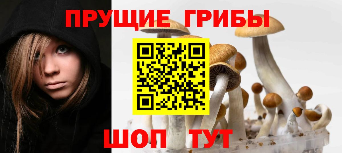 Галлюциногенные грибы Cubensis Отрадный